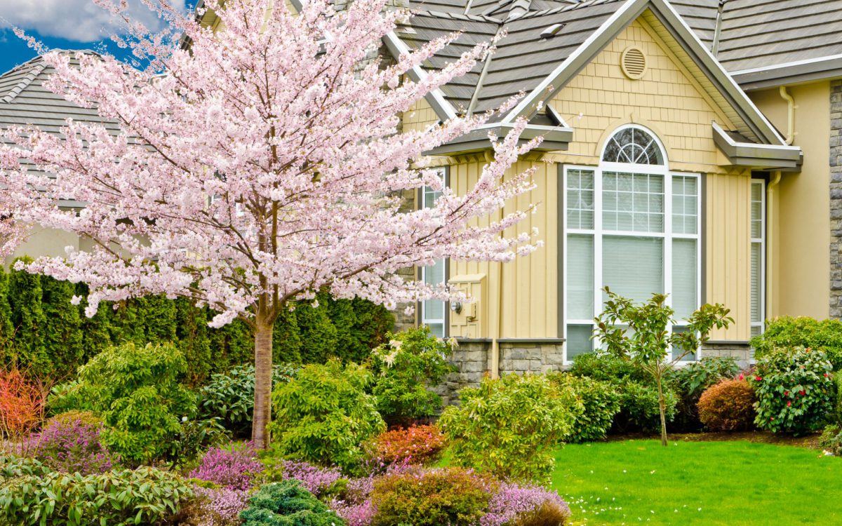 professional cleaning service wauconda